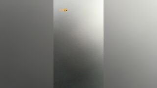 그랜드마스터 기념 일본 국내 신가혜 등 간단녀 모음10기가 (17)